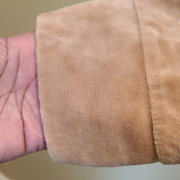 Cato Velour Hoodie - Picture 3 of 6